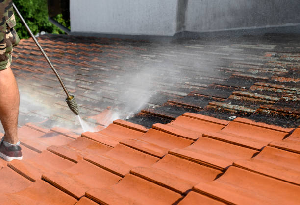 Best Pressure Washing Cost  in Lumberton, TX