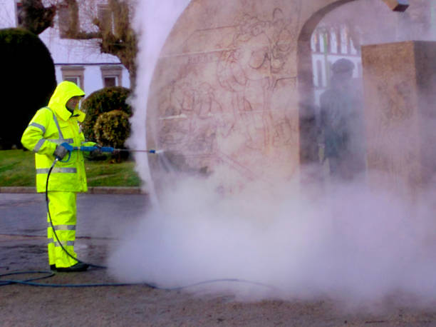 Best Exterior Home Cleaning  in Lumberton, TX